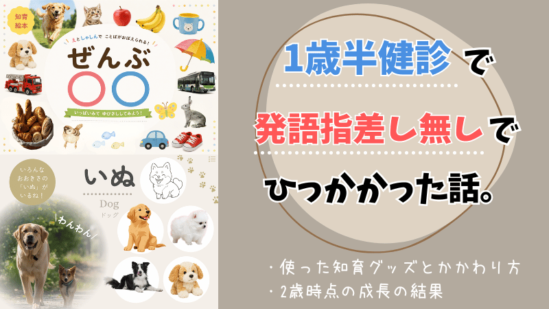 1歳半検診で発語指差し無しでひっかかった話。