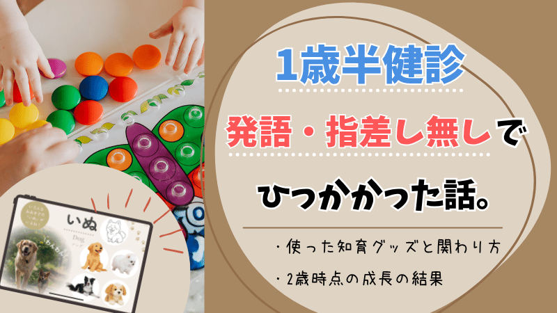 1歳半健診で発語なし・指差しなしでひっかかった話